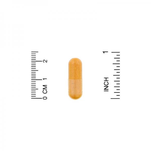 Коэнзим Q10 с экстрактом BioPerine, CoQ10 with Bioperine, California Gold Nutrition, 100 мг, 150 растительных капсул - Фото 3