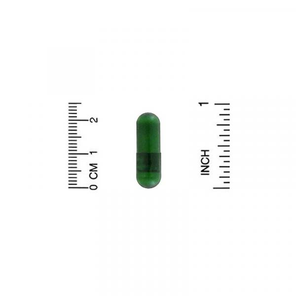 Экстракт мелиссы, европейское качество, Lemon Balm, California Gold Nutrition, EuroHerbs, 500 мг, 180 растительных капсул - Фото 3