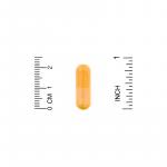 California Gold Nutrition, Curcumin C3 Complex с экстрактом BioPerine, 500 мг, 120 растительных капсул.х капсул - Фото миниатюра 3