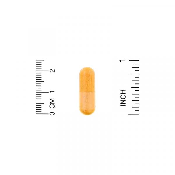 California Gold Nutrition, Curcumin C3 Complex с экстрактом BioPerine, 500 мг, 120 растительных капсул.х капсул - Фото 3