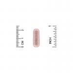 Экстракт косточек французского винограда, French Grape Seed Extract, California Gold Nutrition, 100 мг, 120 вегетарианских капсул - Фото миниатюра 3