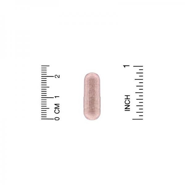 Экстракт косточек французского винограда, French Grape Seed Extract, California Gold Nutrition, 100 мг, 120 вегетарианских капсул - Фото 3