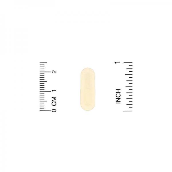 Бета Глюкан 1,3D, Beta Glucan 1,3D California Gold Nutrition, 125 мг, 120 растительных капсул - Фото 3