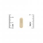 Серрапептаза, Serrapeptase, Proteolytic Enzyme, Lake Avenue Nutrition, 40000 МЕ, 180 растительных капсул - Фото миниатюра 3