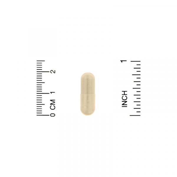 Серрапептаза, Serrapeptase, Proteolytic Enzyme, Lake Avenue Nutrition, 40000 МЕ, 180 растительных капсул - Фото 3