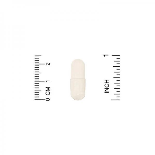 Средство для укрепления иммунитета, Immune 4, California Gold Nutrition, 180 растительных капсул - Фото 3