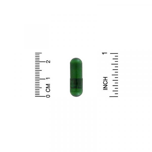 Экстракт эхинацеи, California Gold Nutrition, EuroHerbs, 80 мг, 60 вегетарианских капсул  - Фото 3