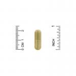 Физетин, Fisetin with Novusetin, California Gold Nutrition, 100 мг, 30 растительных капсул - Фото миниатюра 3