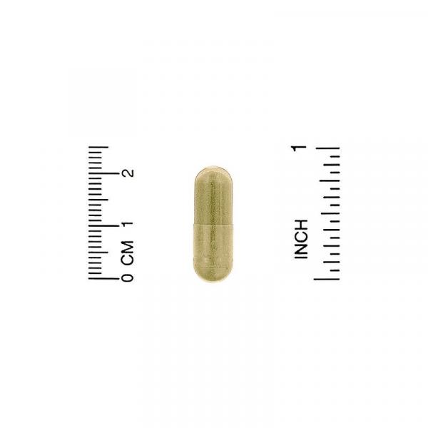 Физетин, Fisetin with Novusetin, California Gold Nutrition, 100 мг, 30 растительных капсул - Фото 3