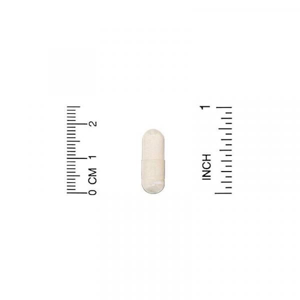 L-глютамин, L-Glutamine, California Gold Nutrition, 120 растительных капсул - Фото 3