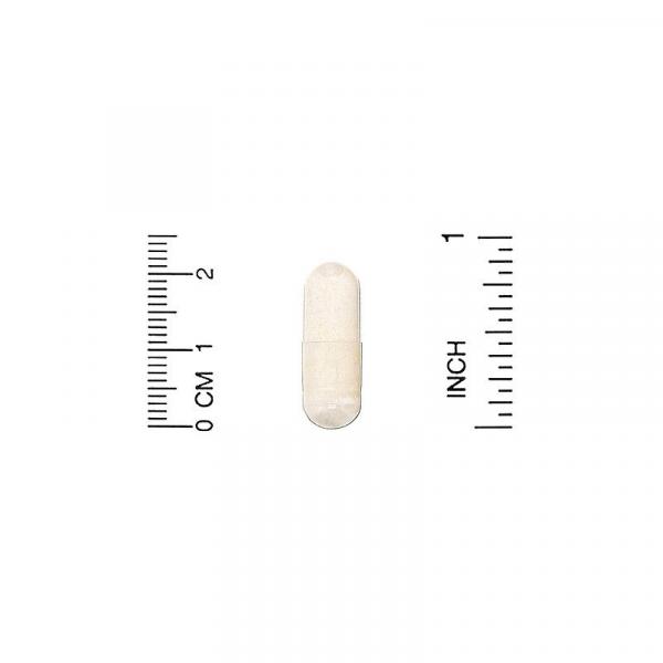 Мастиковая смола, Mastic Gum, California Gold Nutrition, 500 мг, 60 растительных капсул - Фото 3