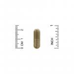 Поддержка в период менопаузы, Menopause Support, California Gold Nutrition, 30 растительных капсул - Фото миниатюра 3