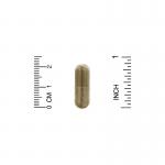 Поддержка в период менопаузы, Menopause Support, California Gold Nutrition, 90 растительных капсул - Фото миниатюра 3