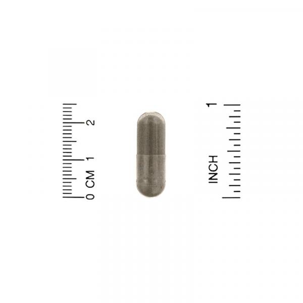 Экстракт бакопы, Bacopa Extract, California Gold Nutrition, 320 мг, 30 растительных капсул  - Фото 3