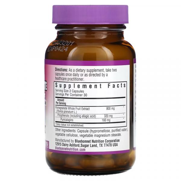 Экстракт плодов граната, Pomegranate Whole Fruit Extract, Bluebonnet Nutrition, Super Fruit, 60 растительных капсул - Фото 2