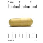 Берберин с фитосомами Berbevis, Berberine Advanced, California Gold Nutrition, 550 мг, 60 растительных капсул - Фото миниатюра 3