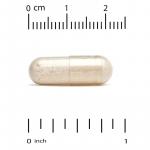 Поддержка работы мозга, Brain Health, California Gold Nutrition, 60 растительных капсул - Фото миниатюра 3