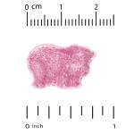 Жувальний вітамін D3 для дітей, зі смаком натуральної вишні, Chewable Vitamin D3 for Children Natural Cherry Flavor, California Gold Nutrition, 12,5 мкг (500 МО), 90 вегетаріанських таблеток - Фото миниатюра 3