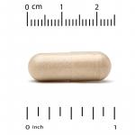 Ежедневные мультивитамины для кетодиеты с зеленым чаем, Keto Daily Multi Vitamins with Green Tea, California Gold Nutrition, 90 растительных капсул - Фото миниатюра 3