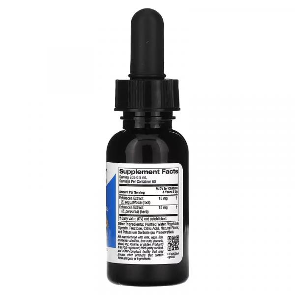 Рідка ехінацея для дітей, без спирту, натуральний апельсиновий смак, Liquid Echinacea For Children, No Alcohol, Natural Orange Flavor, California Gold Nutrition, 30 мл - Фото 2
