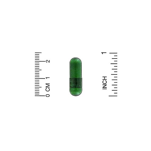 Экстракт расторопши, Milk Thistle Extract, California Gold Nutrition, EuroHerbs, 175 мг, 60 растительных капсул - Фото 3