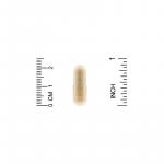 Протеолитические ферменты широкого спектра, Proteolytic Enzymes, California Gold Nutrition, 90 растительных капсул с отсроченным высвобождением - Фото миниатюра 3