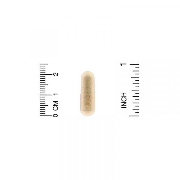 Протеолитические ферменты широкого спектра, Proteolytic Enzymes, California Gold Nutrition, 90 растительных капсул с отсроченным высвобождением - Фото 3