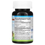 Залізо у формі жувальних таблеток, для дітей, натуральний полуничний смак, Kid's Chewable Iron Natural Strawberry, Carlson, 15 мг, 60 таблеток - Фото миниатюра 2