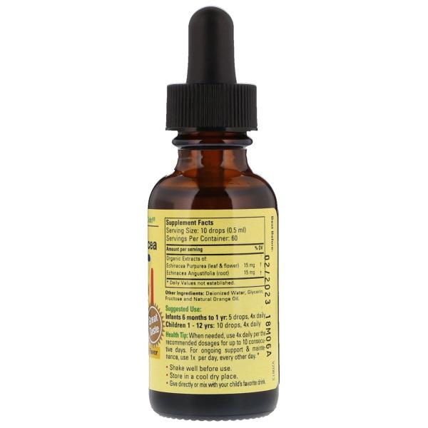 Эхинацея, со вкусом натурального апельсина, ChildLife, Essentials, 30 мл (1 жидк. унция) - Фото 2