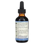 Экстракт сангвинарии, Bloodroot Extract, Eclectic Herb, 60 мл - Фото миниатюра 2