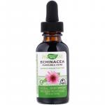 Эхинацея без спирта, Echinacea, Nature's Way, 99.9%, 30 мл  - Фото миниатюра 1
