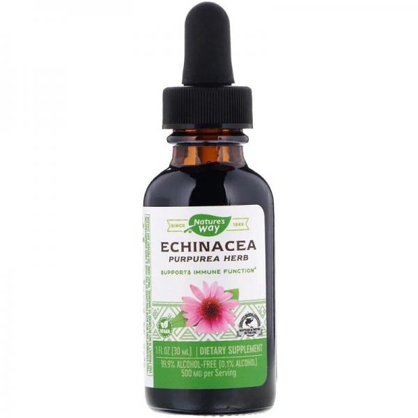 Эхинацея без спирта, Echinacea, Nature's Way, 99.9%, 30 мл  - Фото 1
