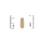 Французский экстракт коры приморской сосны, олигопин, California Gold Nutrition, 100 мг, 60 капсул  - Фото миниатюра 3