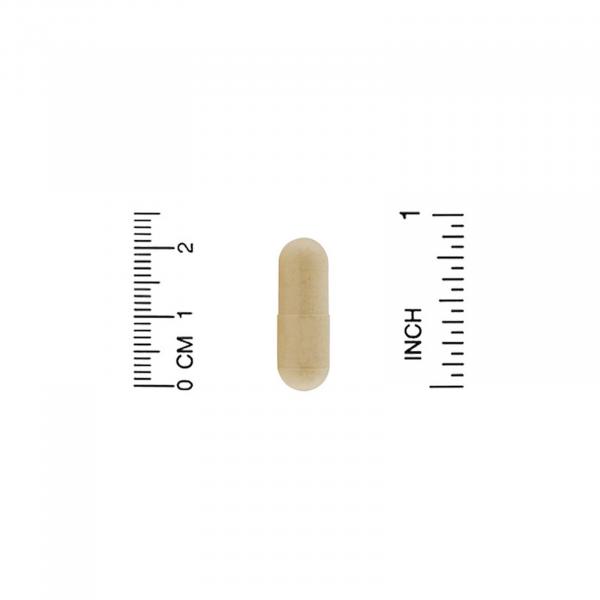 Французский экстракт коры приморской сосны, олигопин, California Gold Nutrition, 100 мг, 60 капсул  - Фото 3