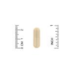 Серрапептаза, Serrapeptase, Proteolytic Enzyme, Lake Avenue Nutrition, 120 000 SPU, 30 растительных капсул - Фото миниатюра 3