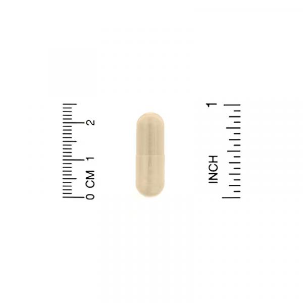 Серрапептаза, Serrapeptase, Proteolytic Enzyme, Lake Avenue Nutrition, 120 000 SPU, 30 растительных капсул - Фото 3