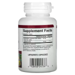 Экстракт виноградных косточек, Grape Seed Extract, Natural Factors, 100 мг, 90 вегетарианских капсул - Фото миниатюра 2