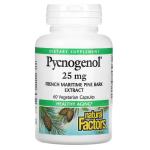 Пикногенол, Pycnogenol, Natural Factors, 25 мг, 60 вегетарианских капсул - Фото миниатюра 1