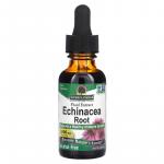 Жидкий экстракт корня эхинацеи, без спирта, Echinacea Root Fluid Extract Alcohol Free, Nature's Answer, 1000 мг, 30 мл - Фото миниатюра 1