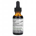 Жидкий экстракт корня эхинацеи, без спирта, Echinacea Root Fluid Extract Alcohol Free, Nature's Answer, 1000 мг, 30 мл - Фото миниатюра 2