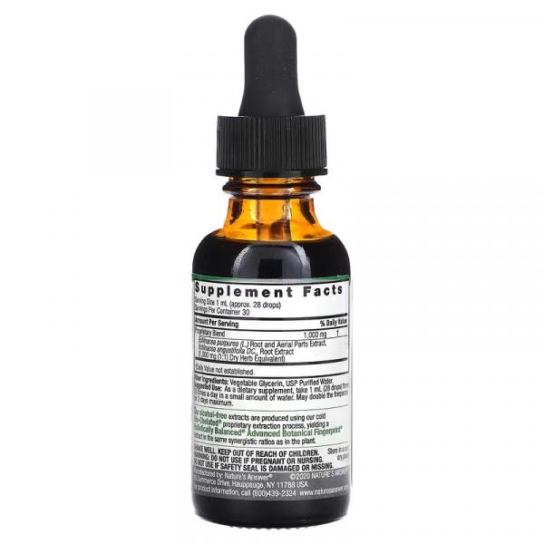 Жидкий экстракт корня эхинацеи, без спирта, Echinacea Root Fluid Extract Alcohol Free, Nature's Answer, 1000 мг, 30 мл - Фото 2