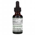 Рідкий екстракт листя Гінкго Білоба, без спирту, Ginkgo Leaf Fluid Extract Alcohol free, Nature's Answer, 2000 мг, 30 мл (NTA-00620) - Фото миниатюра 2