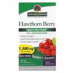 Боярышник, Hawthorn Berry, Nature's Answer, 1500 мг, 90 вегетарианских капсул (500 мг в 1 капсуле) - Фото миниатюра 2