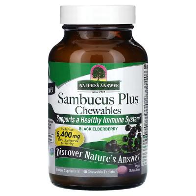 Черная бузина, Sambucus Plus Chewables, Nature's Answer, 60 жевательных таблеток