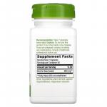 Коготь дьявола, вторичный корень, Devil's Claw Secondary Root, Nature's Way, 960 мг, 100 растительных капсул - Фото миниатюра 2