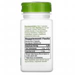 Донг Куай (корень дягиля лекарственного), Dong Quai Root, Nature's Way, 565 мг, 100 веганских капсул - Фото миниатюра 2