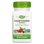 Ягоды боярышника, Hawthorn Berries, Nature's Way, 510 мг, 100 веганских капсул - Фото миниатюра 1