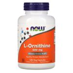 L-орнітин, L-Ornithine, NOW Foods, 500 мг, 120 вегетаріанських капсул - Фото миниатюра 1