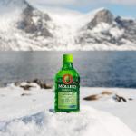 Жидкий рыбий жир (Омега 3) с печени трески c витаминами А, Е, Д3, без вкуса, Omega-3 Cod Liver with vitamins A, E,  D3 Fruit, Mollers Tran Norweski, 250 мл  - Фото миниатюра 8