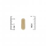 Поддержка мыслительных способностей, Think Support, ZOI Research, 180 растительных капсул - Фото миниатюра 3